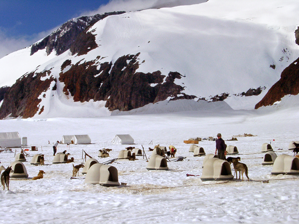 sled dog huts and the sled dogs